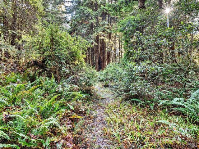 19400 Dorffi Rd, Fort Bragg, CA 95437