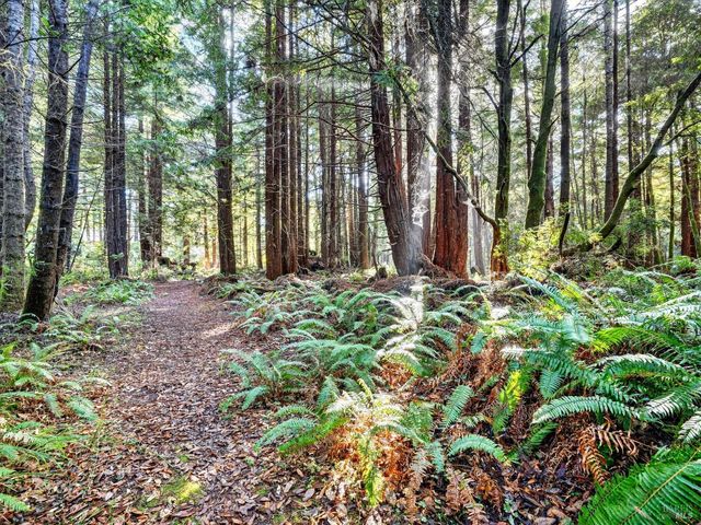 19400 Dorffi Rd, Fort Bragg, CA 95437