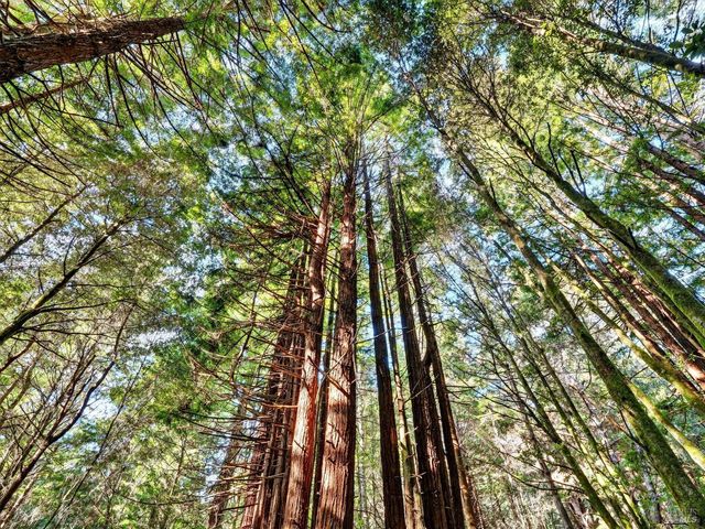 19400 Dorffi Rd, Fort Bragg, CA 95437