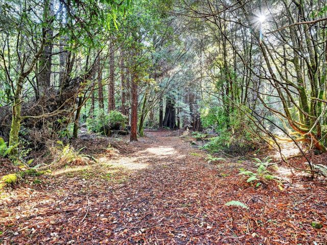 19400 Dorffi Rd, Fort Bragg, CA 95437