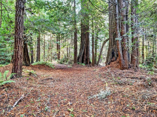19400 Dorffi Rd, Fort Bragg, CA 95437
