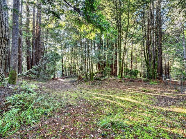 19400 Dorffi Rd, Fort Bragg, CA 95437