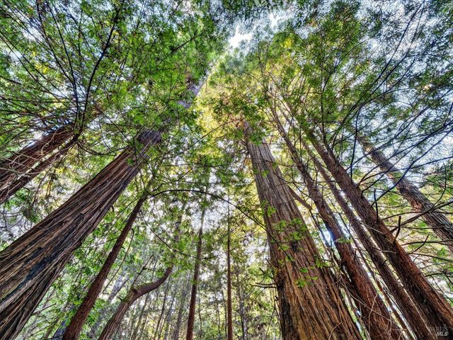 19400 Dorffi Rd, Fort Bragg, CA 95437