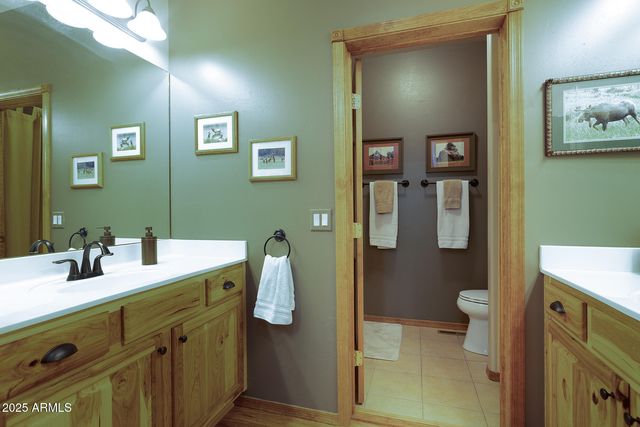 3020 W LODGEPOLE Lane, Show Low, AZ 85901