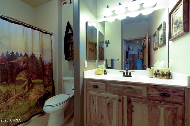 3020 W LODGEPOLE Lane, Show Low, AZ 85901