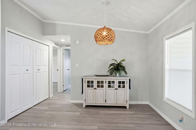 14371 Nectarine Street, Brooksville, FL 34613