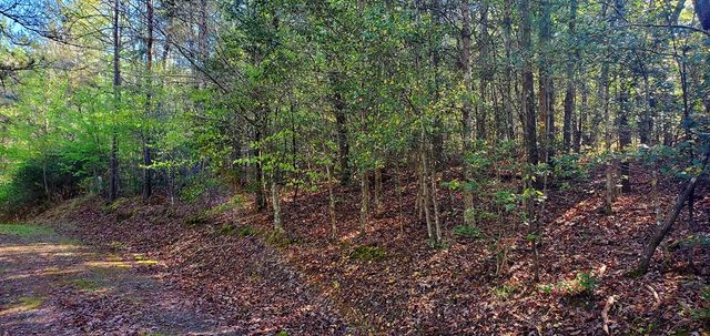 H-5 River Sound Village, Hayesville, NC 28904