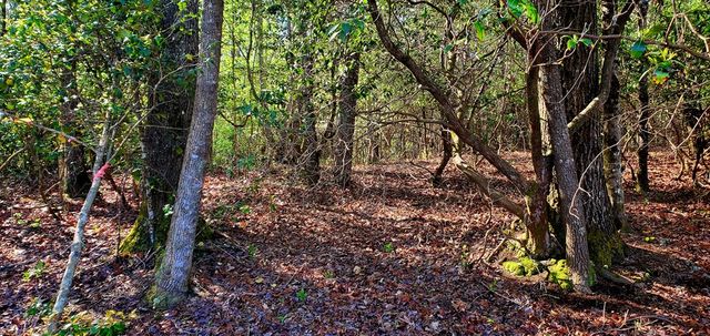 H-5 River Sound Village, Hayesville, NC 28904