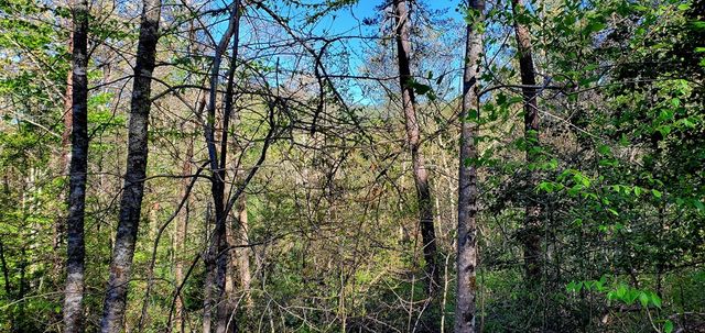 H-5 River Sound Village, Hayesville, NC 28904