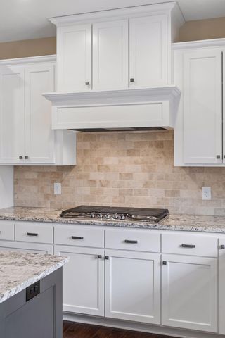 3824 Pascolo Bend, Chaska, MN 55318