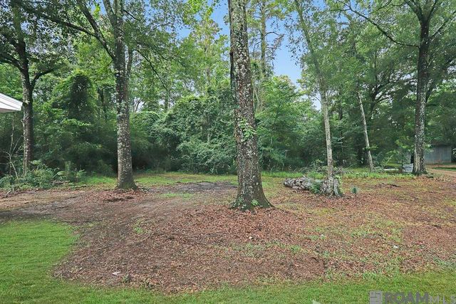 33485 Clinton Allen Rd, Denham Springs, LA 70706