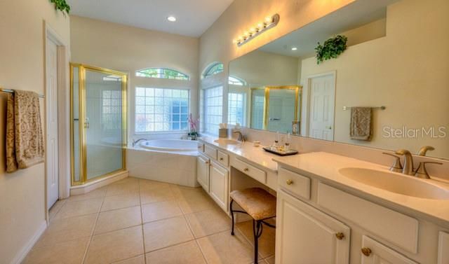 17388 EMERALD CHASE DRIVE, Tampa, FL 33647