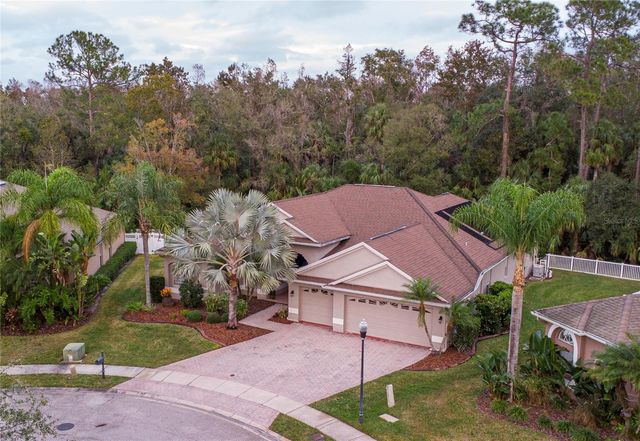 17388 EMERALD CHASE DRIVE, Tampa, FL 33647