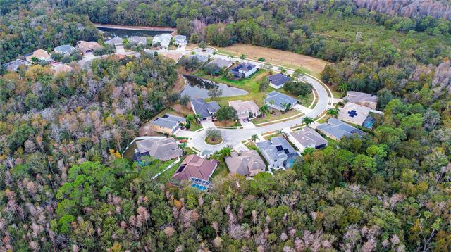 17388 EMERALD CHASE DRIVE, Tampa, FL 33647