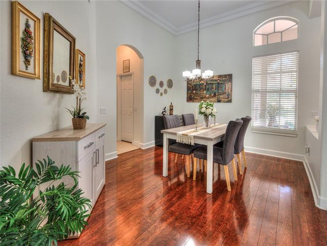 17388 EMERALD CHASE DRIVE, Tampa, FL 33647