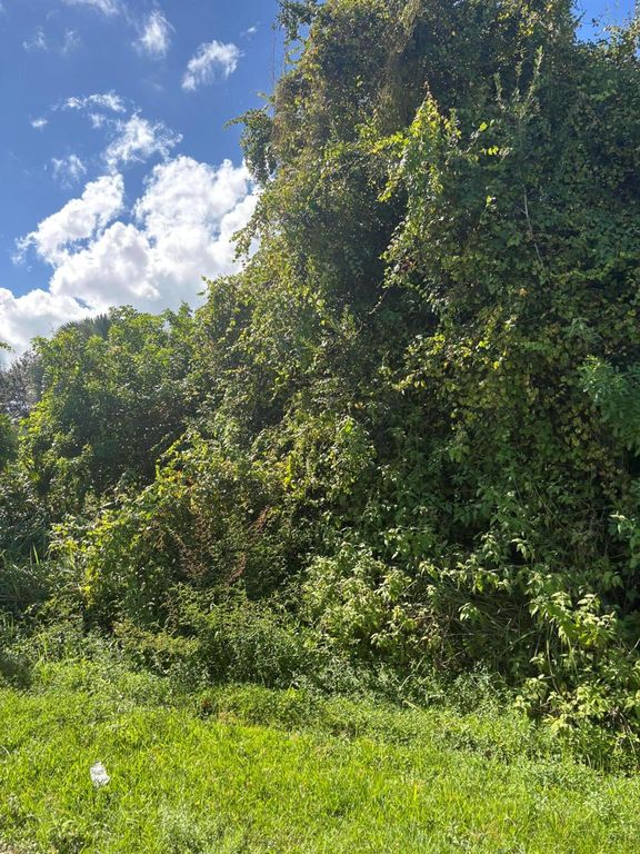 2220 SE Glover Street, Port St Lucie, FL 34984