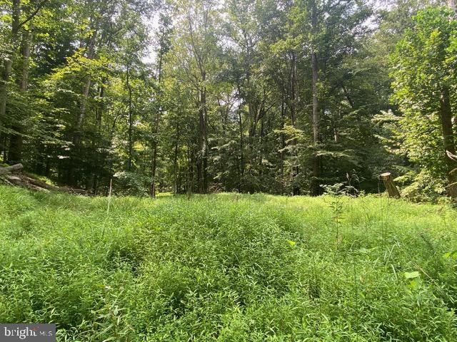 500 HOLLY RD, Fort Washington, MD 20744