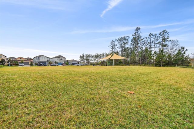 8938 GALLANTREE PLACE, Land O Lakes, FL 34637