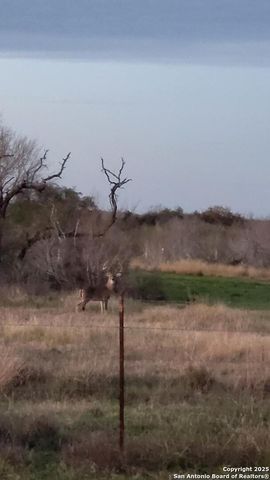 985 Franklin Ranch Road, Tilden, TX 78072