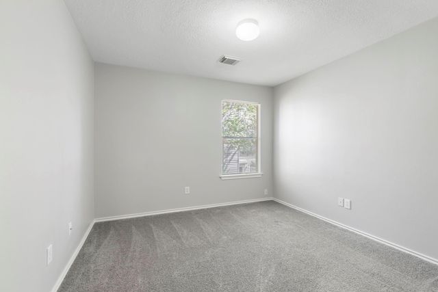 230 Blushwood Place, The Woodlands, TX 77382