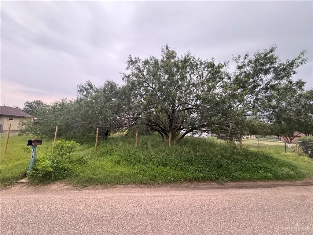 3409 Tanner Court, Mission, TX 78574