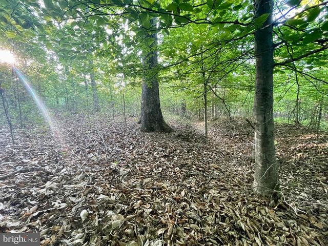 DEER MOUNTAIN RD, Fredericksburg, VA 22407