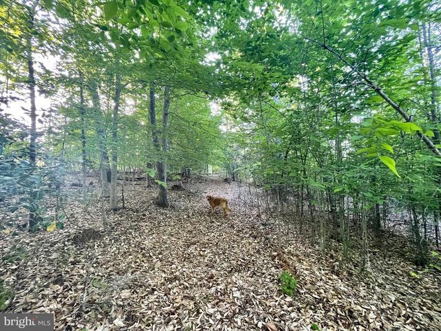DEER MOUNTAIN RD, Fredericksburg, VA 22407