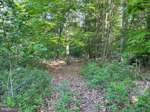 DEER MOUNTAIN RD, Fredericksburg, VA 22407