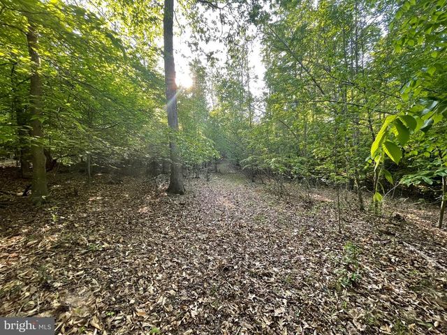 DEER MOUNTAIN RD, Fredericksburg, VA 22407
