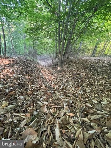 DEER MOUNTAIN RD, Fredericksburg, VA 22407