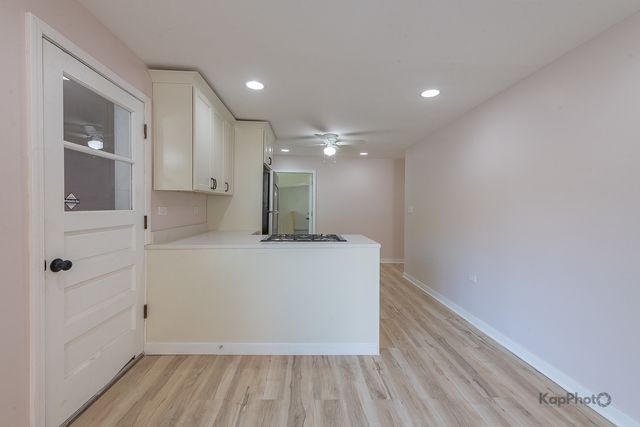 2029 S Canalport Avenue 2, Chicago, IL 60616