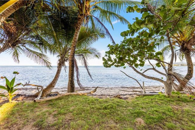 PR 968 Km. 2.1 CAMINO LAS PICUAS, Rio Grande, PR 00745