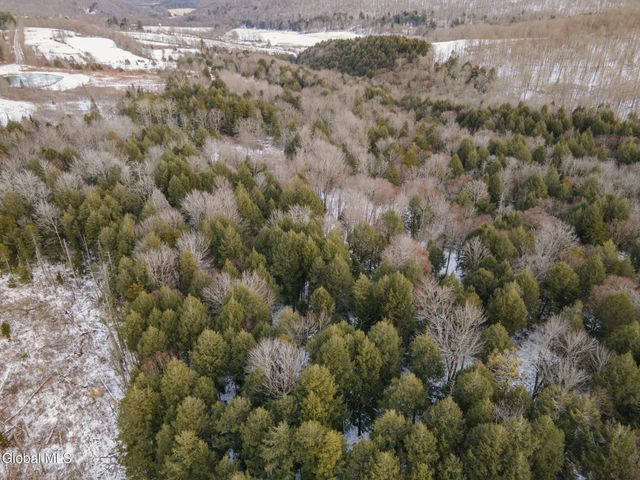 320 Merchant Road, Jefferson, NY 12093