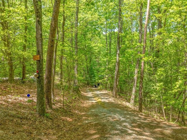 7 Ascherman Court, Blue Ridge, GA 30513