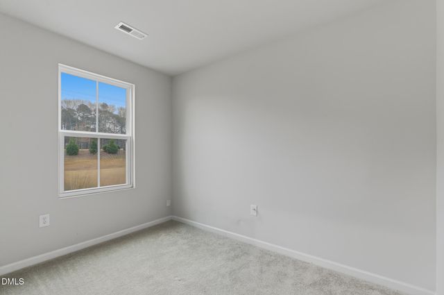 1436 Indigo Creek Drive, Zebulon, NC 27597