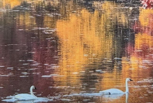 24140 W Fawn Road NE, Stacy, MN 55079