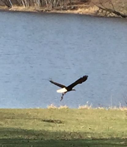 24140 W Fawn Road NE, Stacy, MN 55079