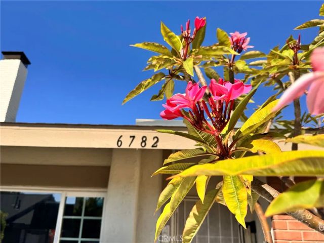 6782 Stonepine Court, Yorba Linda, CA 92886