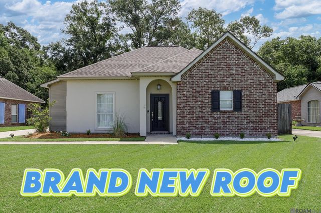 11078 Reyn Dr, Gonzales, LA 70737