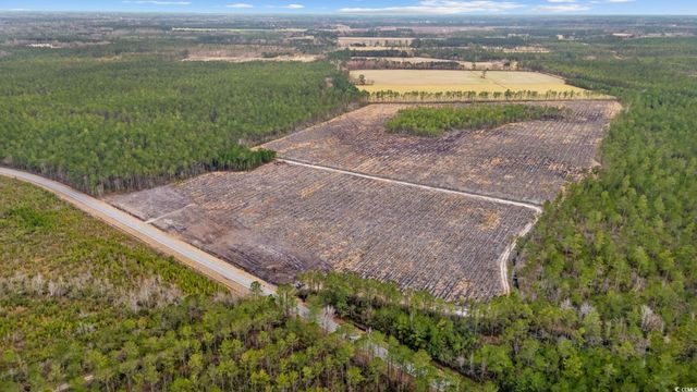 TBD Joyner Swamp Rd., Galivants Ferry, SC 29544