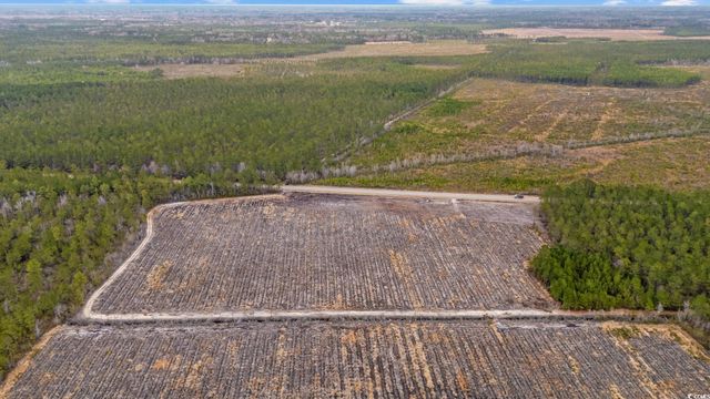 TBD Joyner Swamp Rd., Galivants Ferry, SC 29544