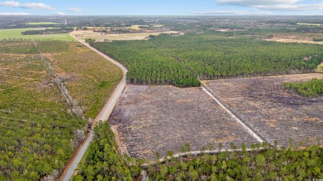 TBD Joyner Swamp Rd., Galivants Ferry, SC 29544