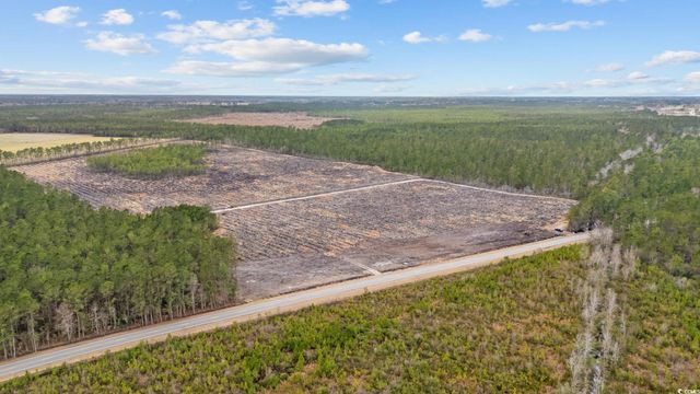 TBD Joyner Swamp Rd., Galivants Ferry, SC 29544