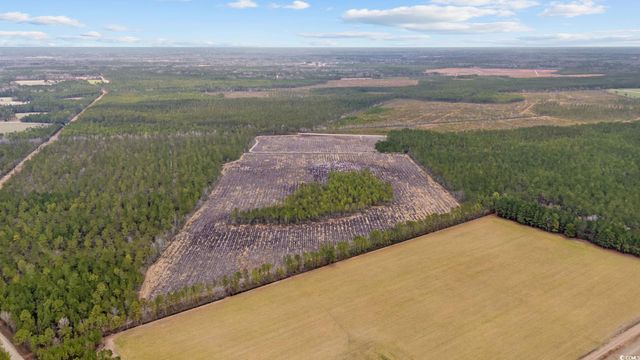 TBD Joyner Swamp Rd., Galivants Ferry, SC 29544