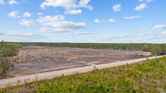 TBD Joyner Swamp Rd., Galivants Ferry, SC 29544