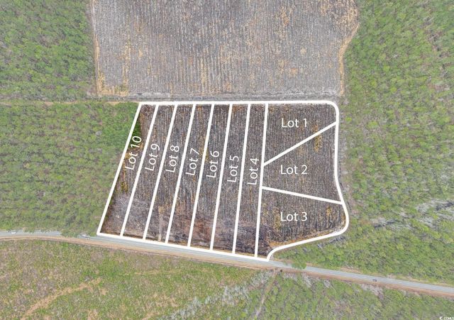 TBD Joyner Swamp Rd., Galivants Ferry, SC 29544