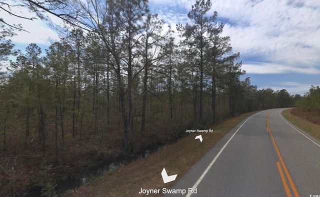 TBD Joyner Swamp Rd., Galivants Ferry, SC 29544