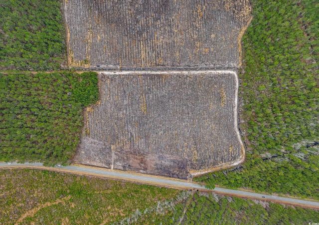 TBD Joyner Swamp Rd., Galivants Ferry, SC 29544