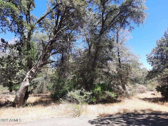 52116 N HUTTON PEAK Road, Miami, AZ 85539