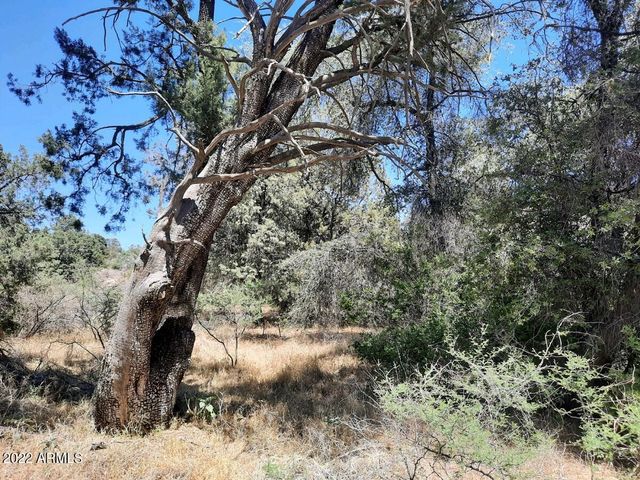 52116 N HUTTON PEAK Road, Miami, AZ 85539